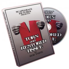 Torn And Restored Tissue by Bob White