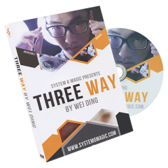 Three Way by Wei Ding and System 6