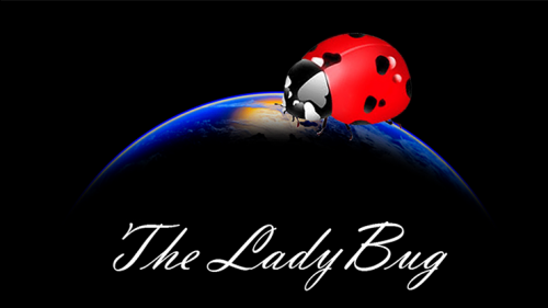 The Ladybug by Hugo Valenzuela