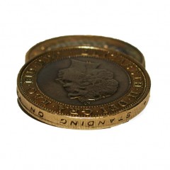 £2 Pro Gravity Flipper Coin