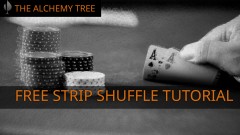 Strip Shuffle FREE Lesson By The Alchemy Tree