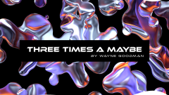 THREE TIMES A MAYBE BY WAYNE GOODMAN INSTANT DOWNLOAD