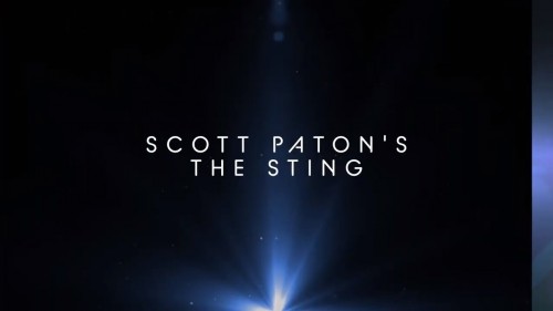 The Sting By Scott Paton Instant Download 